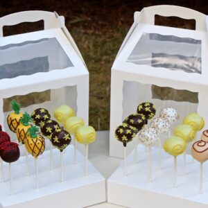 16s Popsicle Handle Box with window  صندوق مقبض المصاصة 16 ثانية مع نافذة