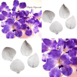 Veiner - Mouth Orchid  فينير - سحلية الفم