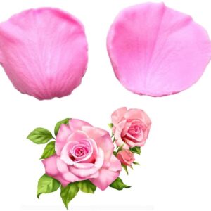 Veiner - Rose Small (for Fondant n Gumpaste)  فينير - ورد