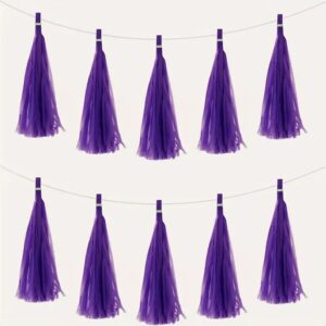 Tissue Paper Tassel Garland Single color 12 Pcs Pack